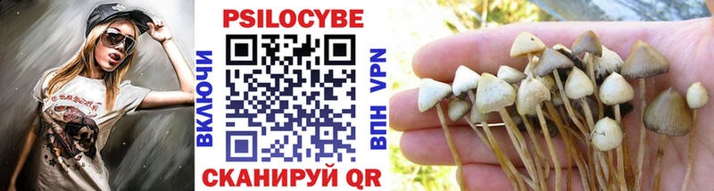 Галлюциногенные грибы GOLDEN TEACHER  Красноперекопск 