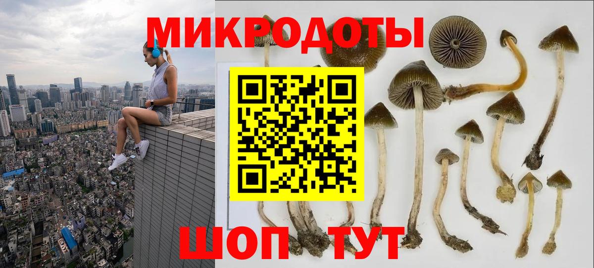 Галлюциногенные грибы Cubensis  Вход с VPN  Галлюциногенные грибы GOLDEN TEACHER  Красноперекопск 