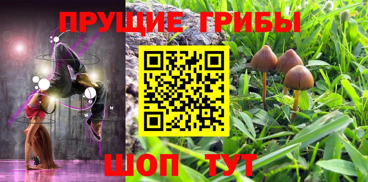 Псилоцибиновые грибы Psilocybine cubensis Красноперекопск